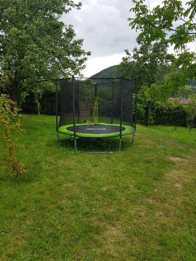 Maja Homestay Solina (Podkarpackie)